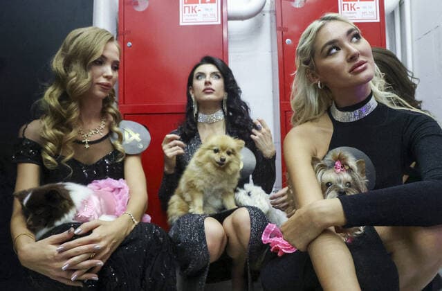 Russia, Golden Pet Award in Moscow
