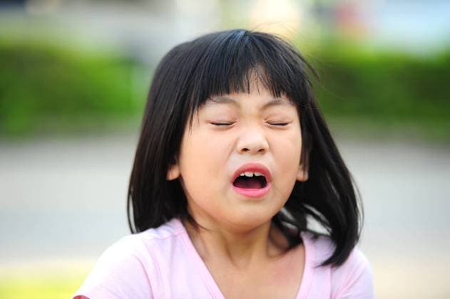 Health, Hay fever season started