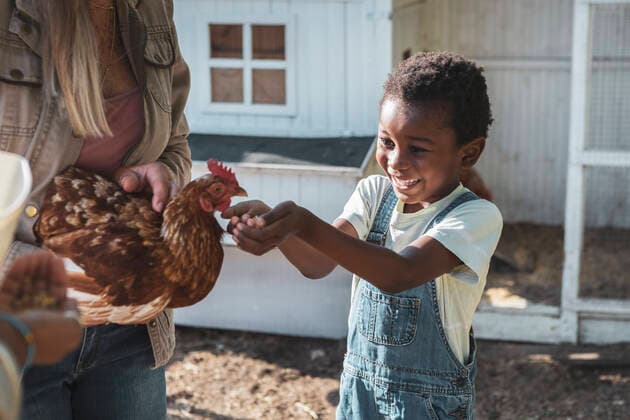 IMAGO Creative, Diversity, Children: On the farm