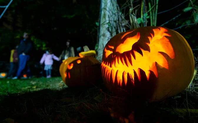 Canada, Pumpkin Parade at Whiteoaks Park in Mississauga, Ontario
