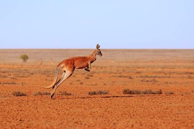 IMAGO Nature: Our Earth, nature conservation, Protected areas in Oceania