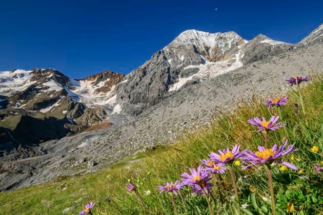 Travel, National Parks, Italy, Stilfser Joch