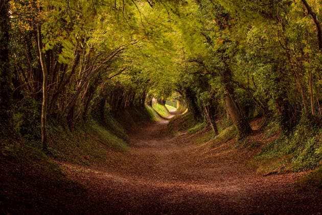 Calendar motifs: Hollow ways