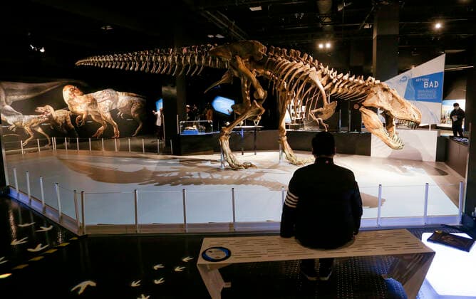 Canada, T-Rex - The Ultimate Predator Exhibition in Vancouver