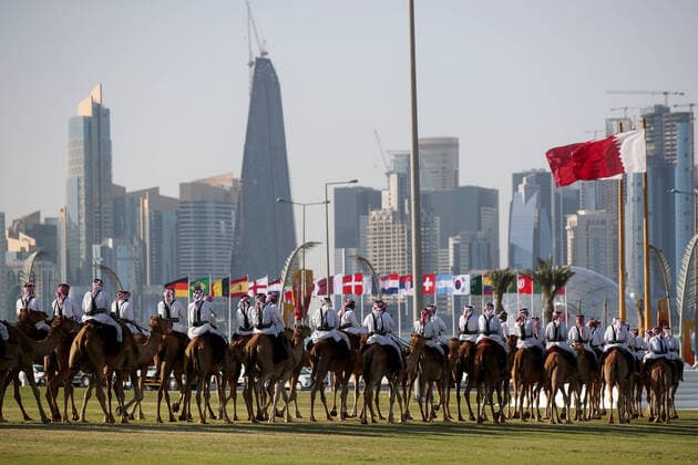 FIFA World Cup 2022, fans told to avoid camels in Qatar - archive images