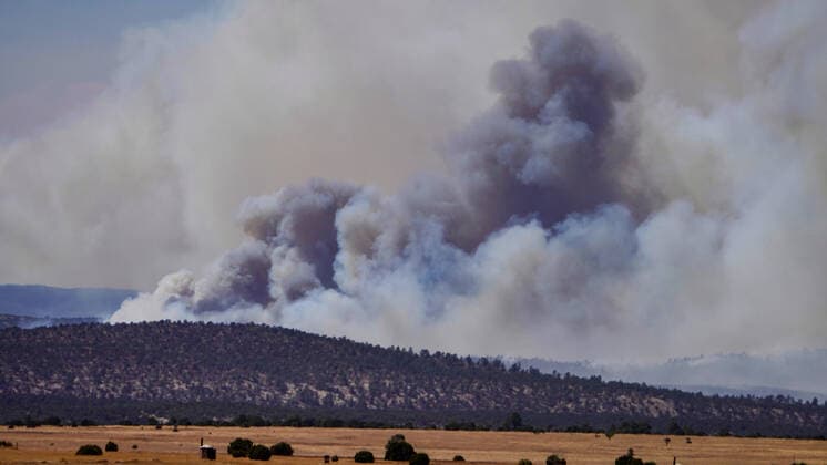 USA, Forest fires in New Mexico