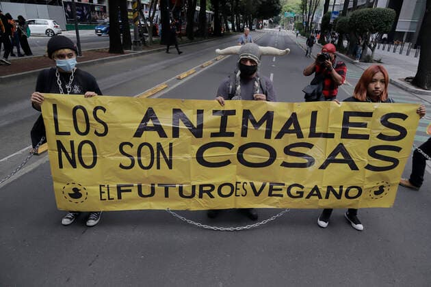 Mexico, protest against bullfighting in Mexico City