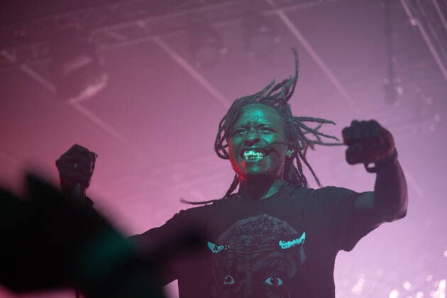 Roskilde Festival, Duma Concert