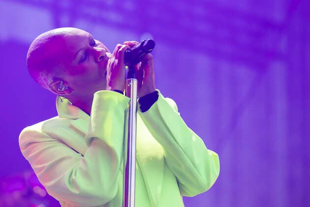 Metastadt Open Air in Vienna, Skunk Anansie concert