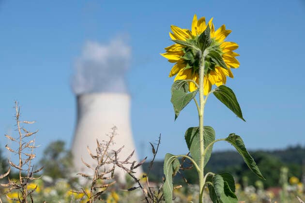 Federal Cabinet approves nuclear phase-out, 15th anniversary on 6 June