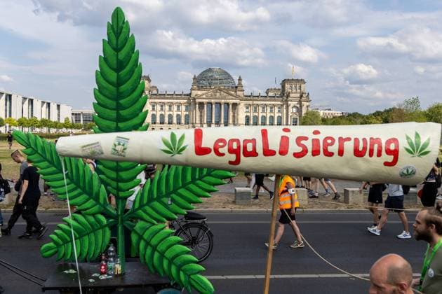 Cannabis legalisation bill to go to cabinet by August - Archive Images