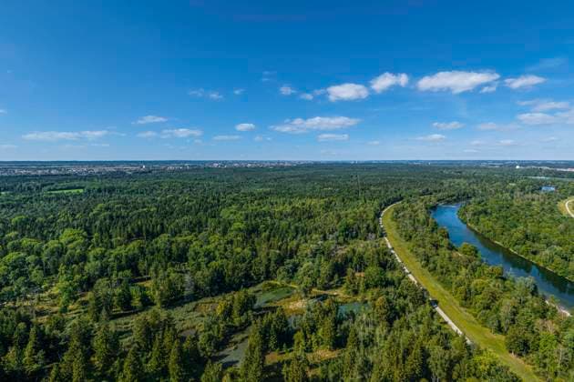 The Augsburg city forest is forest area of the year 2024