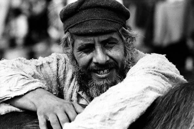 Chaim Topol died