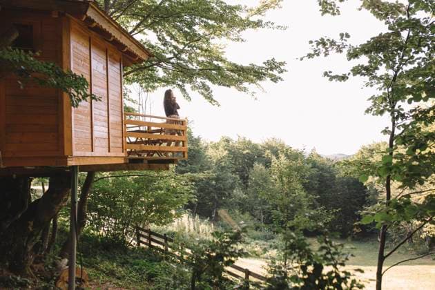 IMAGO Creative, Life in the Bam House