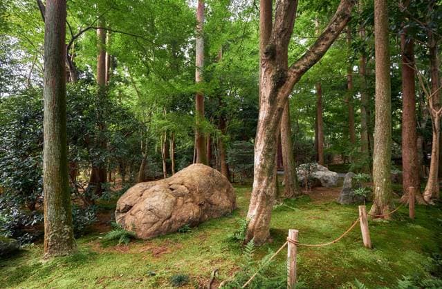 Travel, Parks and Gardens, Japan, Ryoan-ji-Tempel-Garten in Kyoto