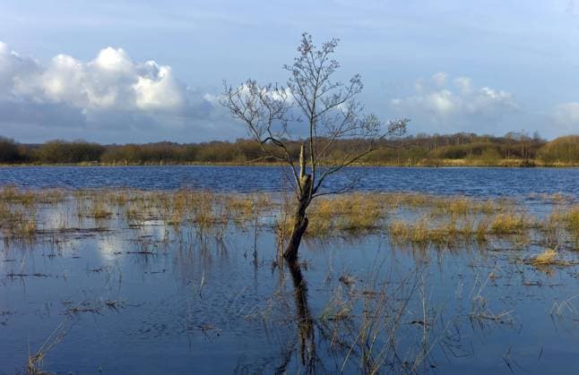 Lower Saxony, experts warn of extreme flood danger