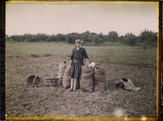 IMAGO Stephane Passet Archive, The archives of the planet, France, Agriculture 1930