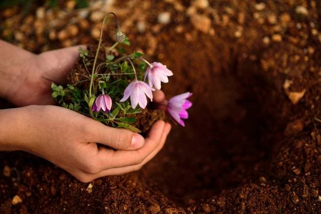 IMAGO Creative, Spring, Gardening