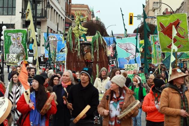 Canada, Neil Young during protests against the destruction of virgin forests in Victoria