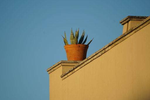 IMAGO Creative, Spring, Outdoor planters