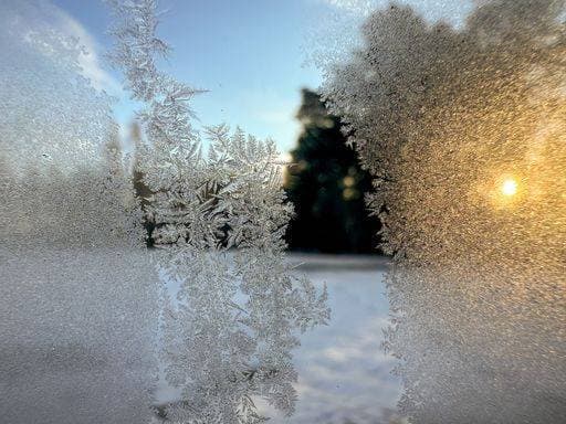 IMAGO Creative, Season Winter, Frost