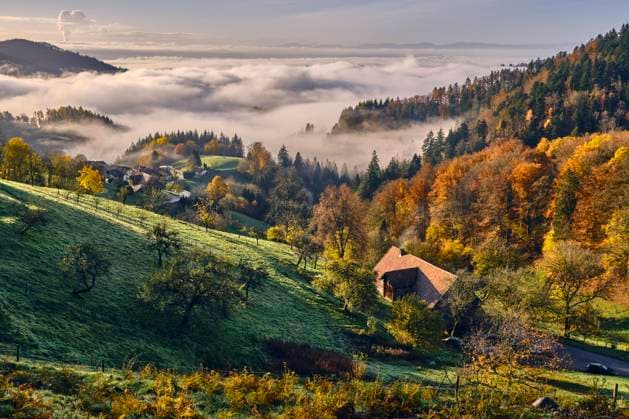Calendar motifs: Black Forest