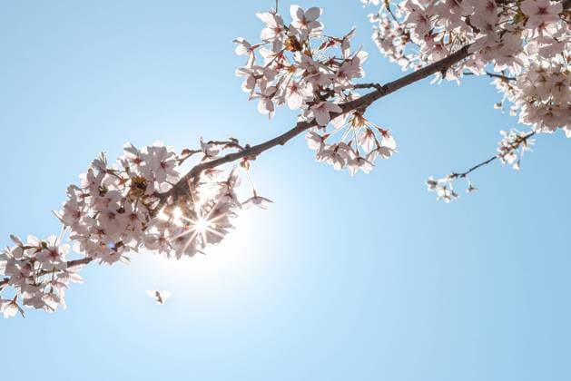 IMAGO Creative, Spring, Sun in spring