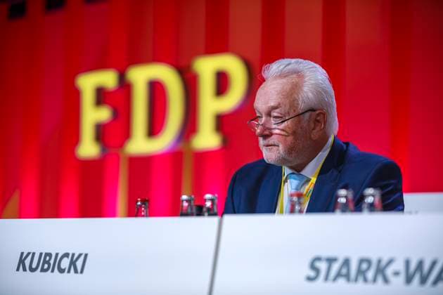 FDP, Wolfgang Kubicki wants to become new party leader, archive pictures