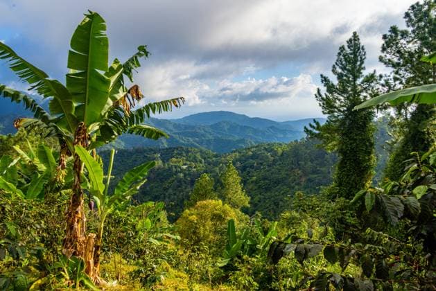TopTravel Destination 2023: Jamaica