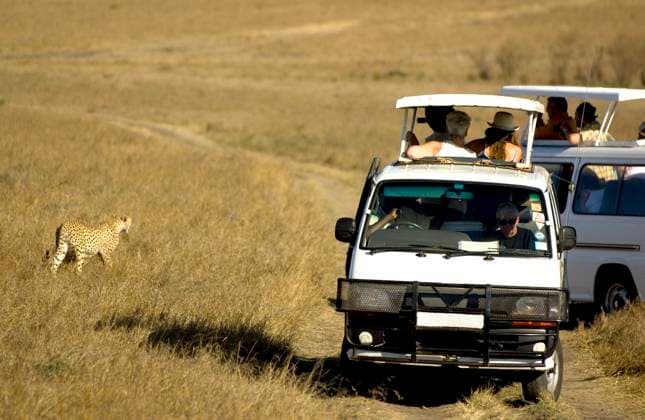 Kenya plans to abolish the visa requirement for all visitors, archive pictures