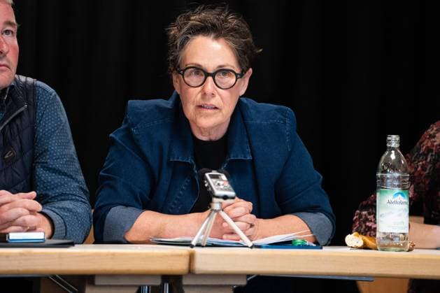 Bavarian state election: The Lefts top candidate Adelheid Rupp