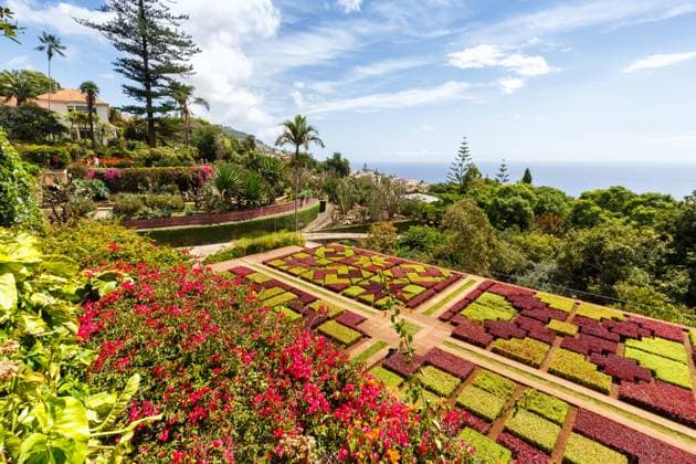 Travel, Parks and Gardens, Portugal, Botanischer Garten auf Madeira