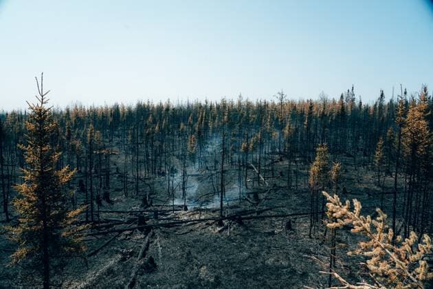 Canada, forest fires in the Quebec region