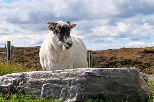 Top travel destination 2025: Ireland, Donegal
