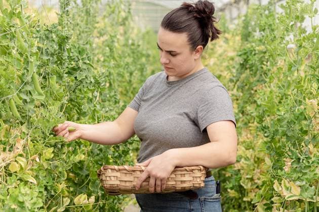 More and more trainees in agriculture nationwide, symbolic photos