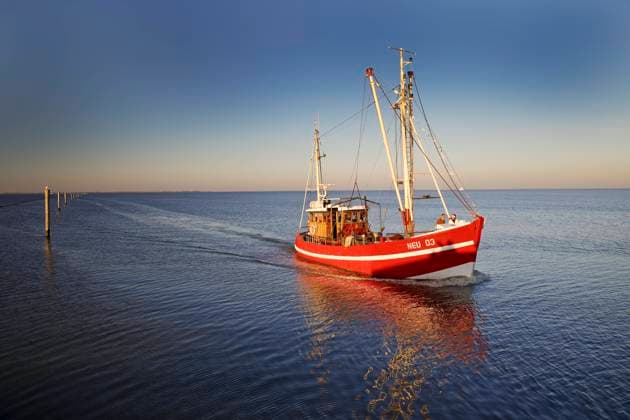Calendar motifs: Fishing boats