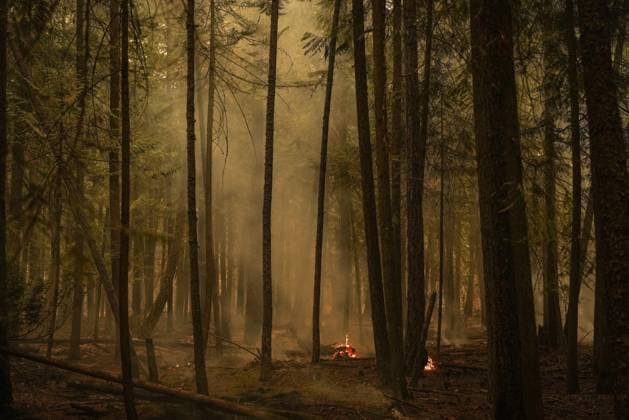 Canada, forest fires in British Columbia
