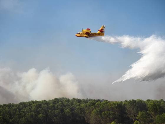 International Day for Disaster Reduction on 13 October