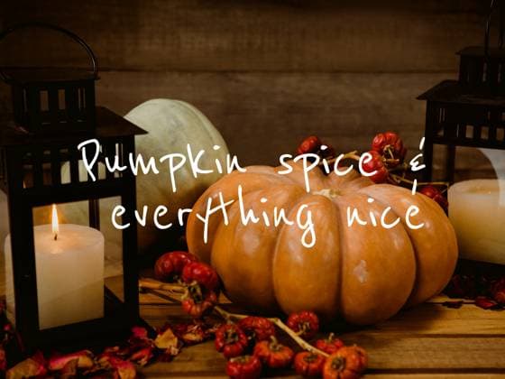 IMAGO Creative, Autumn, Pumpkin Spice and Everything Nice