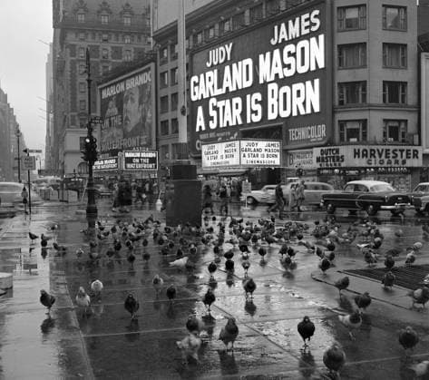 IMAGO Film History, Judy Garland in *A Star is Born* (1954)