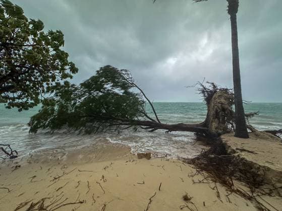Mauritius, damage after cyclone at Beachcomber Paradis Golf and Spa