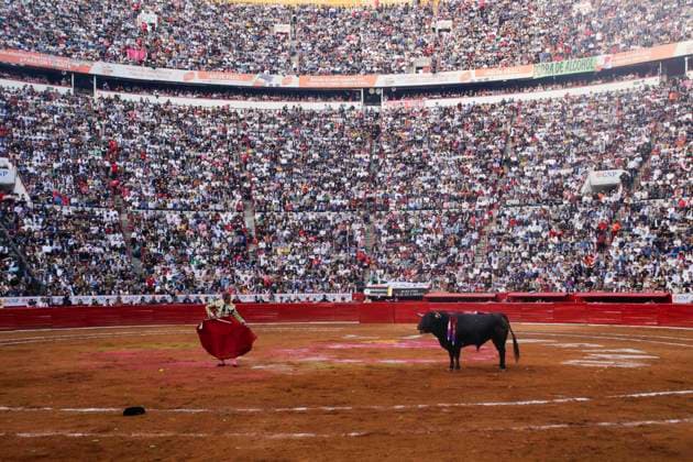 Mexico, bullfighting in Mexico City