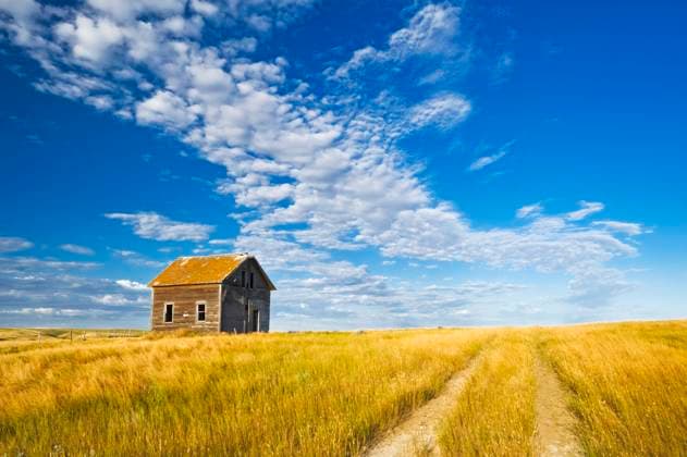 Calendar motifs: Fields and meadows