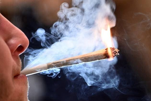 Federal Council approves cannabis legalisation, archive images