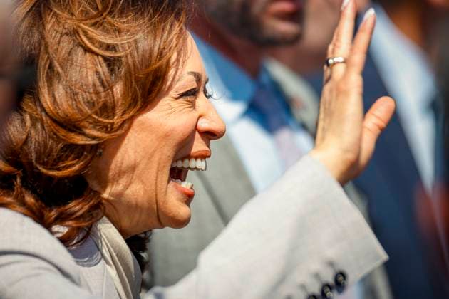 USA, 2024 Election, Kamala Harris, The brat for the White House