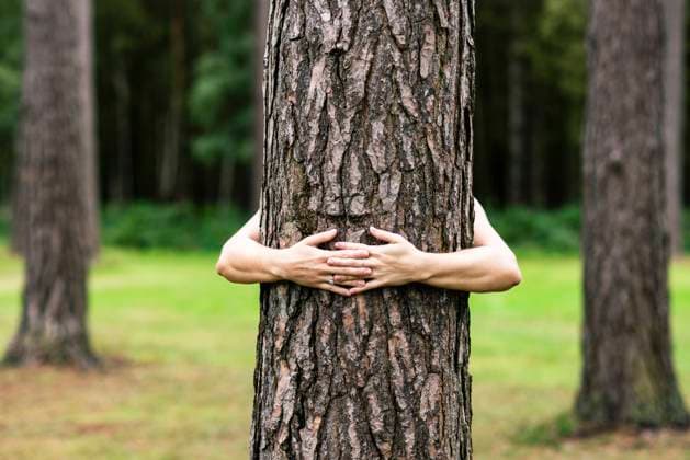 Day of the tree on 25 April