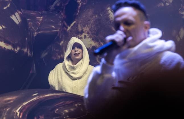 Paaspop music festival in Schijndel, Die Antwoord concert