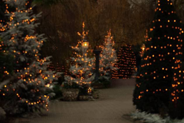 IMAGO Creative, Christmas, Twinkling lights