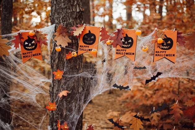 IMAGO Creative, Autumn, Halloween, Decoration