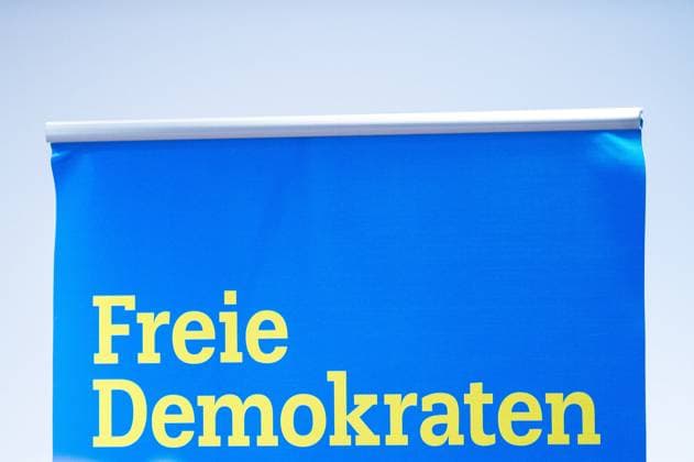 State elections 2024, FDP